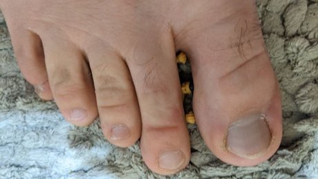 Max the Giant top model img