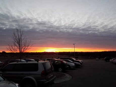 MavX star nude galleries