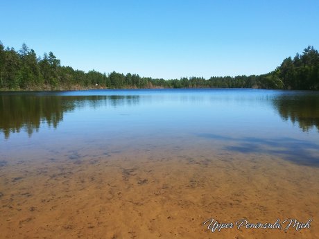 Diego Kortez perfect star picture