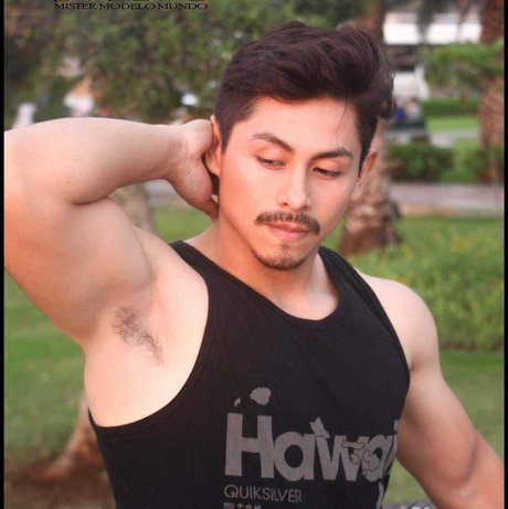 valentino balvin actress img