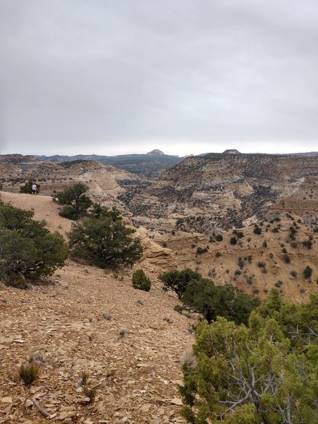 Bamfurlough model art pics