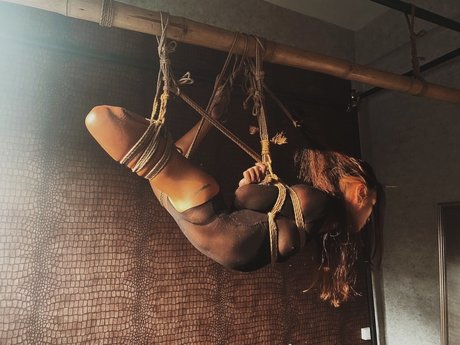 Sandi high quality actress galleries