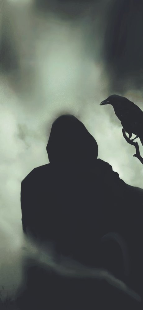 Black 1 exclusive star gallery