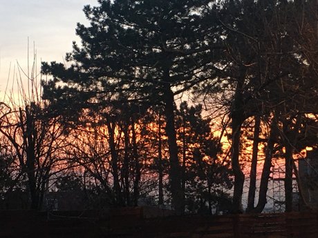 Matthiek top star img