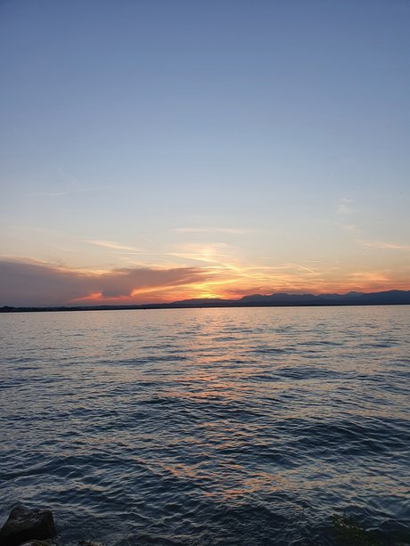 Matteo Marzari star porn pictures