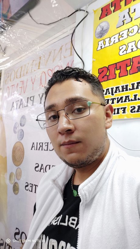 Matt shinoda actress photo