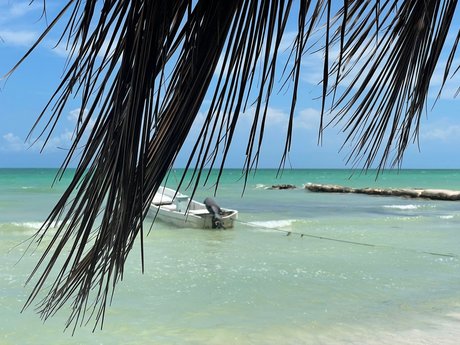 Monna nice star picture