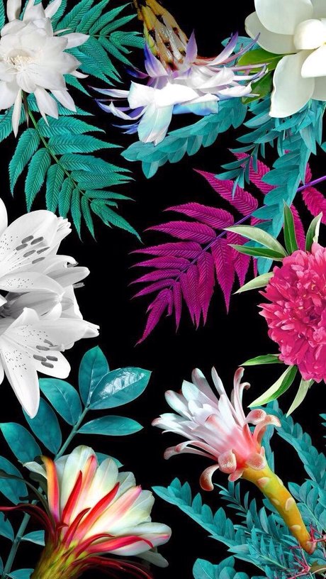 Mason Fleshwood pornstar sexy pictures