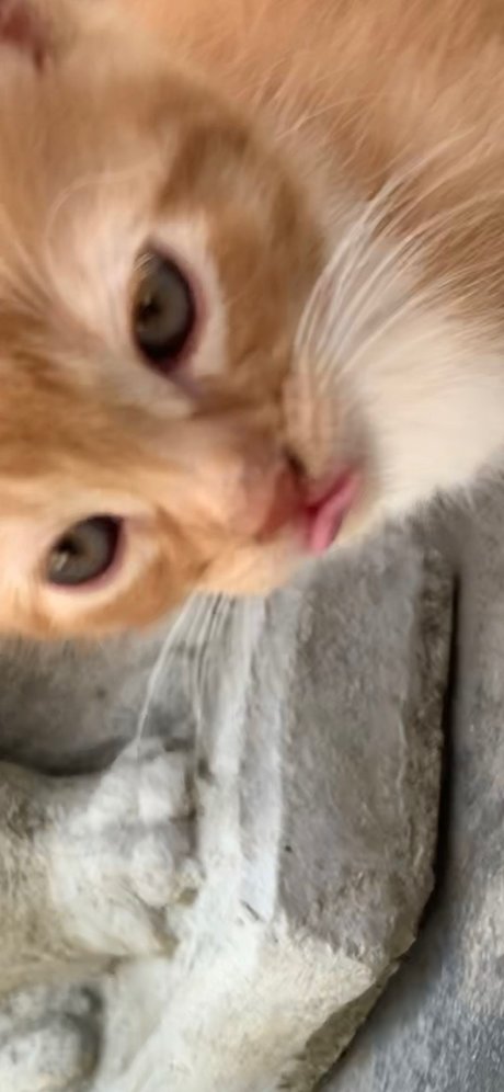 Isaac Gonzalez star hot img