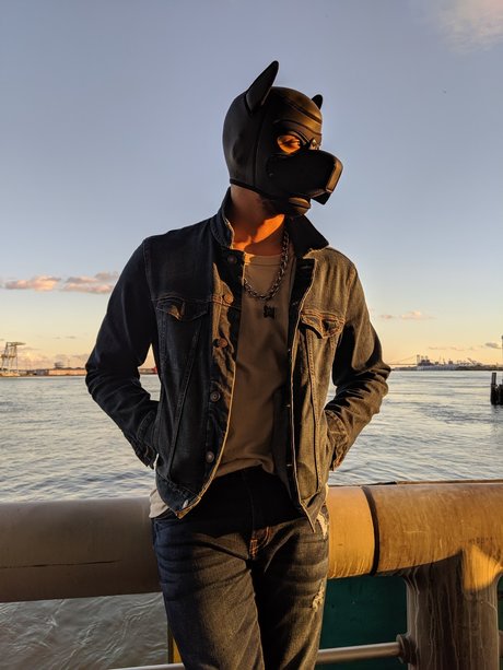 Pup Beaux Blac nice pornstar galleries