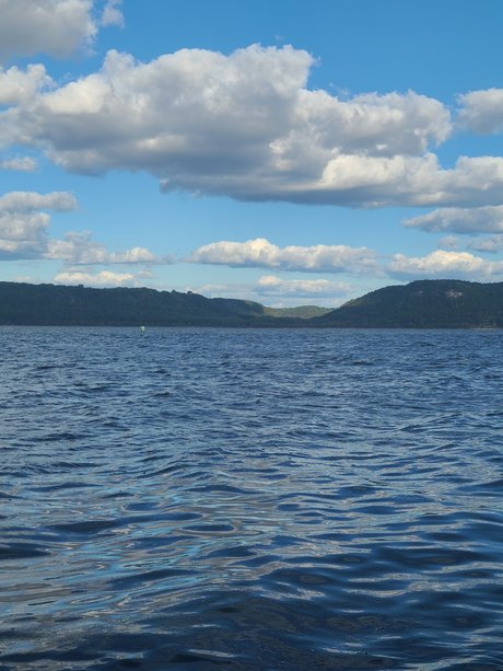 Mr D hd star gallery