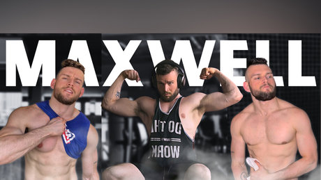 MaxwellStone model perfect images