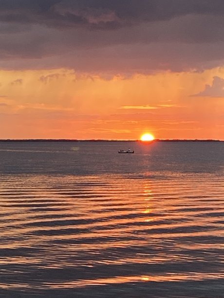 Mersea art star gallery