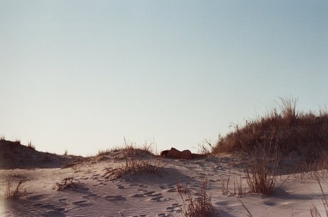 meredith star nude picture