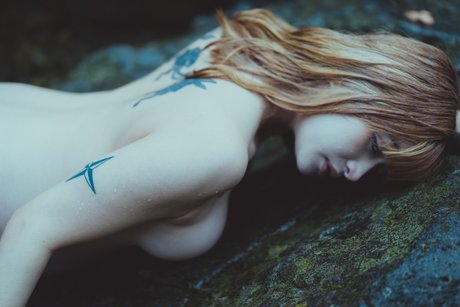 Meow chan star pornographic archive