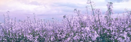 mimichuu star naked galleries