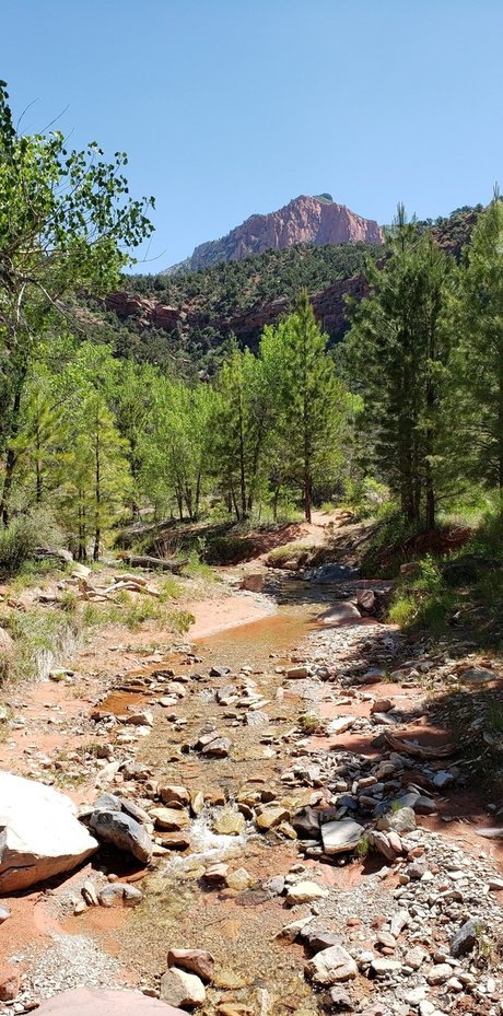 James Webb_ nude actress gallery