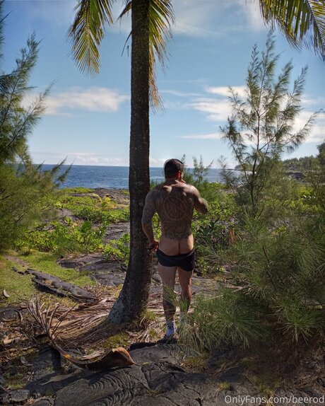 Brandon Blye porn actress img