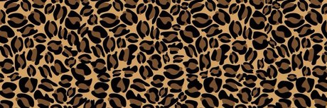 melii nice pornstar photos