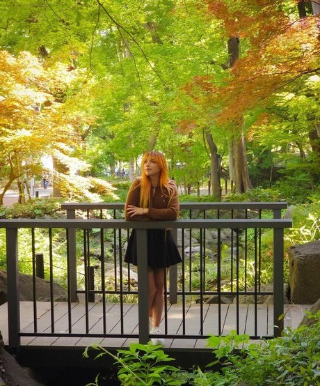 shelbygraces perfect star picture