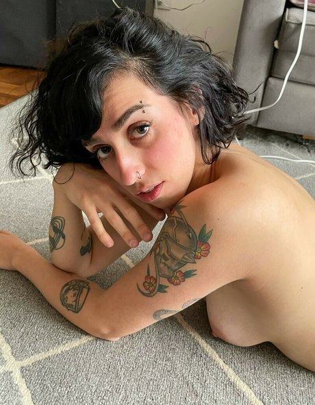 suvacocarnivoro star pretty archive