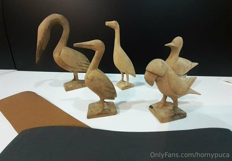 hornypuca xxx model img