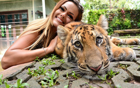 ailadonovannn pornstar naked photo