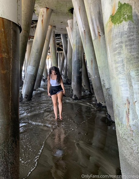 Megan Nicole pornstar nice pics