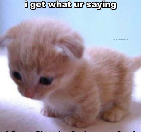 softbunnyrae pretty pornstar picture