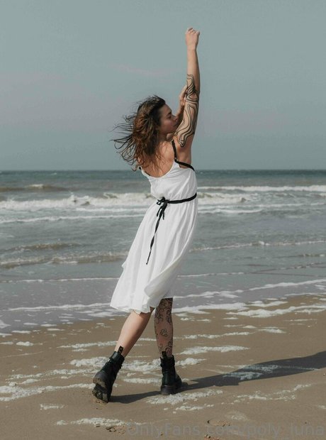 poly luna art star galleries