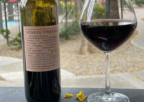 zendenjen69 hot pornstar archive