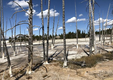 zendenjen69 xxx pornstar img