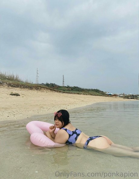 ponkapion model adult img