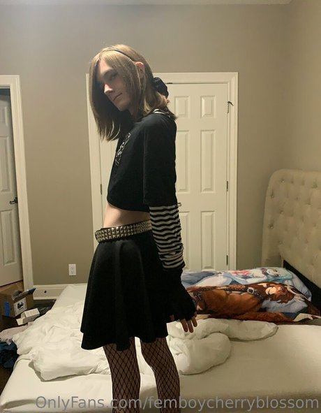 femboycherryblossom Profile pic