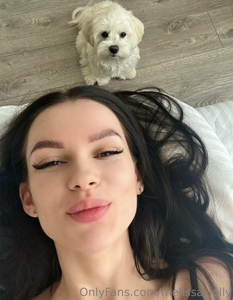 melissa lolly star art gallery