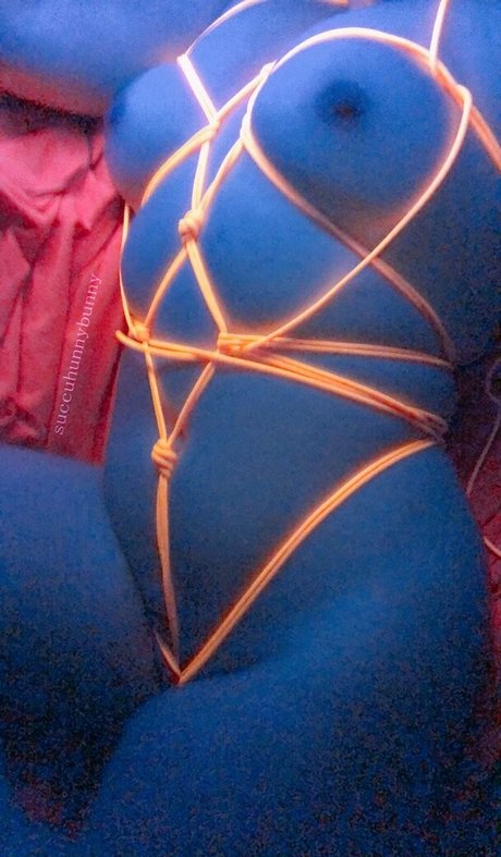 succuhunnybunny free star gallery