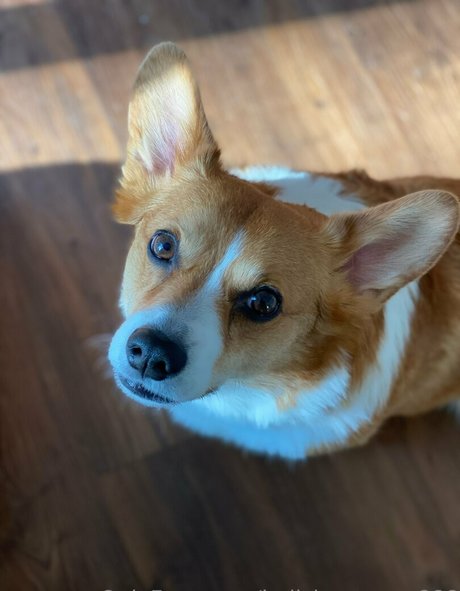 hellsingqueen666 exclusive model galleries