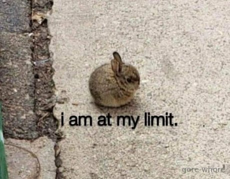 gore whore sexy model gallery