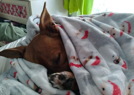 phoebefatter exclusive actress image