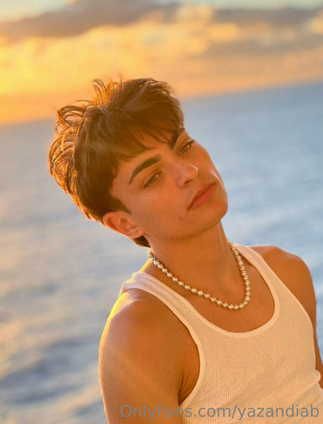 yazandiab art star gallery