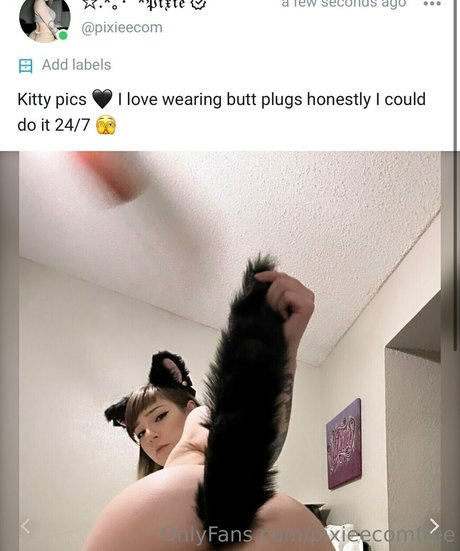 pixieecomfree pornstar picture