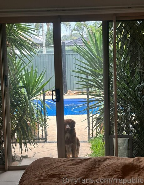 cougar sex onlyfans art nude gallery