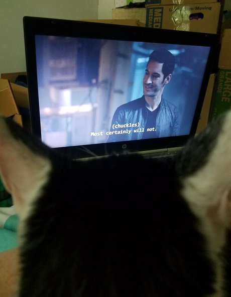 sqregina erotic pornstar photos