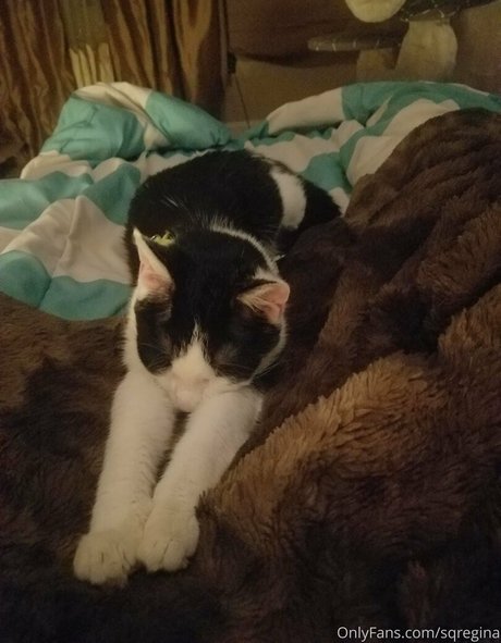 sqregina high quality model picture