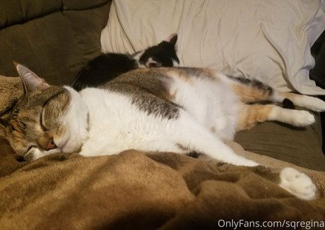 sqregina pornstar pretty images