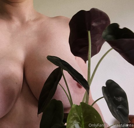 aatalante pornstar adult photos