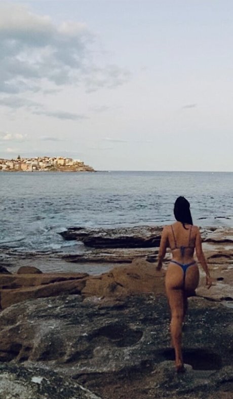 LottieLion star galleries