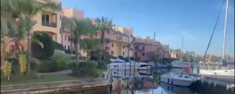 Babestation studio66 sex actress pictures