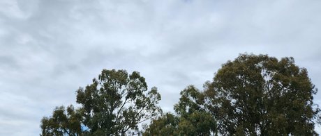 snacksixfree porn model pic