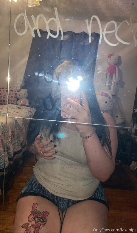 fakenips model best img